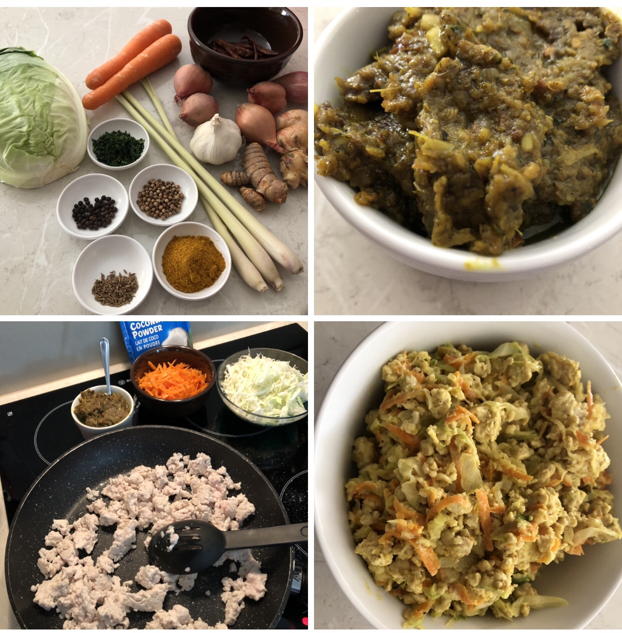 Yellow Chicken Curry Spring Rolls